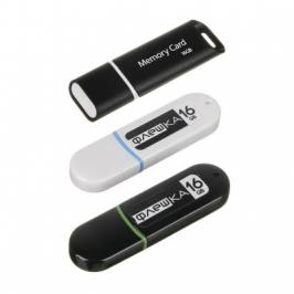 FORZA Флеш-карта 16гб, USB2.0, класс 4, пластик